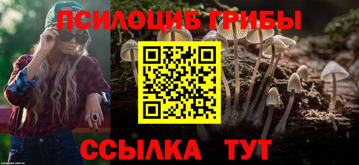 Псилоцибиновые грибы мухоморы  Псилоцибиновые грибы MAGIC MUSHROOMS  Вход с VPN  Новоуральск 