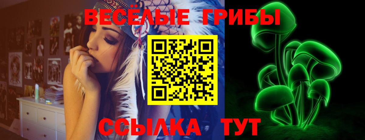 Псилоцибиновые грибы Psilocybe Новоуральск